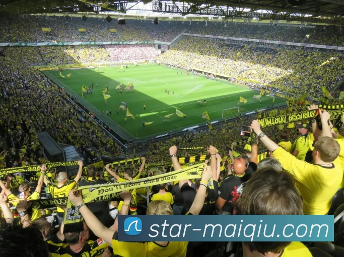 深入分析上海网球队反击战术的独特魅力与实战应用